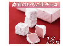 濃姫のいちご生チョコ(16個入)