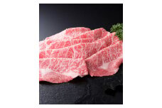 【焼肉てっちゃん】飛騨牛 希少部位 すき焼き肉 500g