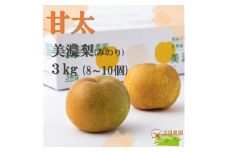【先行予約・限定10箱】晩生梨の新品種　甘くて柔らかい「甘太」(かんた)　３kg(約8~10個)【9月中旬以降お届け】