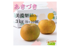 【先行予約・限定10箱】晩生梨「あきづき」３kg(約8~10個)【8月下旬以降お届け】