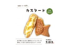 大垣屋の贅沢カスタード鯛焼き 12匹入り