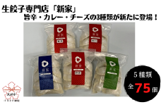生餃子専門店「新家」の生餃子　創作ぎょうざ 5種類 食べくらべセット