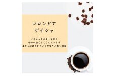 超希少種コーヒー豆 『エルミラドール農園』 コロンビア ゲイシャ (ウォッシュド) 200g 豆