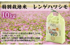 水の都 大垣米 ～わごうめぐみ米～ 10kg【特別栽培米レンゲハツシモ】