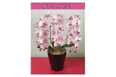光触媒造花胡蝶蘭　3本立（ピンク）