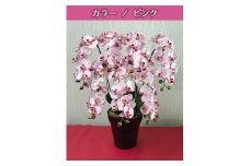 光触媒造花胡蝶蘭　7本立（ピンク）