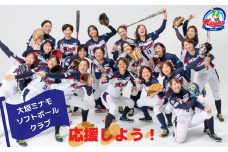 大垣ミナモソフトボール JDリーグ入場券引換券 (2枚)