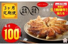 【秋の大感謝祭開催中！飛騨牛が抽選で当たる】【3ヶ月定期便】生餃子専門店「新家」の生餃子　元気がモリモリ100個セット×3回(期間限定)