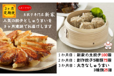 【3ヶ月定期便】生餃子専門店「新家」の生餃子100個・創作餃子5種類75個・大きなしゅうまい25個