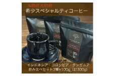 本格直火焙煎　希少スペシャルティコーヒー豆　インドネシア・コロンビア・タンザニア飲み比べセット　3種×各100g（計300g）豆
