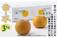 大垣の銘水で育った甘味たっぷりの梨（幸水）3kg前後【８月上旬から中旬ごろに発送予定】