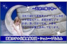 【高級ホテル仕様】羽毛を超えた無地掛布団(綿100%生地) カラー：アイボリー