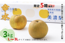 大垣の銘水で育った甘味たっぷりの梨（幸水）3kg前後【８月中旬から9月上旬ごろに発送予定】