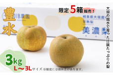 大垣の銘水で育った甘味たっぷりの梨（豊水）3kg前後【８月中旬から9月上旬ごろに発送予定】