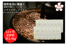【定期便(12か月)】焙煎当日に発送！超希少種コーヒー豆『エチオピア ゲイシャ』ゲシャビレッジ農園 ナチュラル豆