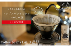 【定期便6ヶ月】世界各地をのみくらべ トップスペシャルティコーヒー豆 定期便 粉