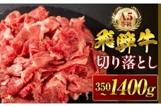【秋の大感謝祭開催中！飛騨牛が抽選で当たる】飛騨牛 A5 切り落とし 700g 訳あり ご自宅用 不揃い 小間切れ 焼肉 BBQ 牛肉 肉 黒毛和牛 国産 最上級 厳選 ブランド牛 お取り寄せ 高級 冷凍 プレゼント ギフト お祝い 記念 中部ミート 岐阜県 大垣市