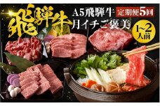 【1月開始】【5ヶ月定期便】A5 飛騨牛 ちょこちょこお届け（焼肉・すき焼き・ステーキ）☆ 5回 赤身 切り落とし モモ カタ 焼肉 すき焼き しゃぶしゃぶ サーロイン 牛丼 牛肉 黒毛和牛 ブランド牛 和牛 国産 お肉 肉 高級 お祝い 記念日