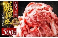【秋の大感謝祭開催中！飛騨牛が抽選で当たる】A5 飛騨牛 【定期12回】 便利な 切り落とし 500g  12か月定期便　切落し 部位 おまかせ 訳あり 高級 牛肉 黒毛和牛 ブランド牛 和牛 国産 お肉 肉 高級 お祝い 記念日
