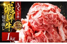 【秋の大感謝祭開催中！飛騨牛が抽選で当たる】A5 飛騨牛 【12回定期便】便利な 切り落とし 1kg 1000g  切落し 部位 おまかせ 訳あり 高級 牛肉 黒毛和牛 ブランド牛 和牛 国産 お肉 肉 高級 お祝い 記念日