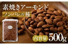 【12回定期便】素焼き アーモンド 500g（250g × 2袋）ノンパレル種 ロースト 焙煎 食塩不使用 食用油不使用  防災食品 防災用 非常食 保存食 備蓄食 岐阜県 大垣市