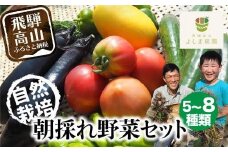 【数量限定】【2025年予約受付】（7月～発送開始） 自然栽培 朝採れ 野菜セット 5～8種 | 先行予約 新鮮 野菜 採れたて トマト ナス キュウリ ゴーヤ オクラ ネギ ししとう 冬瓜半割 ジャガイモ 玉ねぎ など お任せ 飛騨高山 よしま農園 CK008