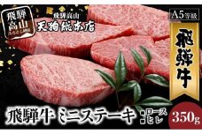 A5等級 飛騨牛 ミニステーキ ( ロース ・ ヒレ ) 350g | A5 黒毛和牛 和牛 ブランド牛 牛肉 牝牛 ステーキ 肉 熨斗 のし 飛騨高山 天狗総本店 BP020