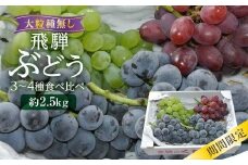 【数量限定/先行予約】山本果樹園 季節の大粒種無しぶどう 詰め合わせ 約2.5kg（4房～5房）| 9月中旬～順次発送 果物 フルーツ おいしい ぶどう 種なし 飛騨高山 山本果樹園 MA014