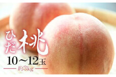 【数量限定】ひだ桃 10～12玉 3kg前後 箱詰め 桃 もも フルーツ 果物 8月中旬～順次発送 飛騨高山 産地直送 期間限定 飛騨もも ひだ桃源郷 CN010