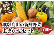 【寄附額見直しました！】飛騨高山の新鮮野菜 おまかせセット | 野菜 おまかせ 詰め合わせ やさい 果物 くだもの ご当地 フルーツ 飛騨高山 まるっとプラザ BA007