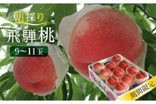 【数量限定/先行予約】飛騨桃 約2.7kg（9～11個）| 7月下旬～順次発送 桃 もも フルーツ 果物 旬 朝採れ 産地直送 白桃 品種お任せ 飛騨高山 山本果樹園 MA013