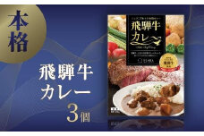 本格飛騨牛レトルトカレー 230g×3個 | 飛騨牛 レトルトカレー 贅沢 カレー 本格 中辛 ビーフカレー 便利 簡単調理 高山市 高山フローラ EY003