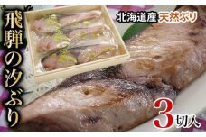 飛騨の汐ぶり 3切 ｜塩ブリ 塩ぶり 汐ブリ 汐ぶり 国産 北海道産 天然ブリ 化粧箱入 ギフト 贈答 お歳暮 年越し 正月 お正月 飛騨高山 期間限定 12月15日まで申込受付 37-939 (株)ファミリーストアさとう CY020