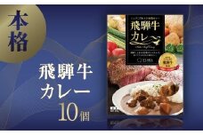 本格飛騨牛レトルトカレー 230g×10個 | 飛騨牛 レトルトカレー 贅沢 カレー 本格 中辛 ビーフカレー 便利 簡単調理 高山市 高山フローラ EY005