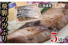 飛騨の汐ぶり 5切 ｜塩ブリ 塩ぶり 汐ブリ 汐ぶり 国産 北海道産 天然ブリ  化粧箱入 ギフト 贈答 お歳暮 年越し 正月 お正月 飛騨高山 期間限定12月15日まで申込受付 37-938 (株)ファミリーストアさとう CY021