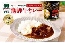 キッチン 飛騨監修 さとうオリジナル 飛騨牛カレー カレー缶 3缶セット 専用箱 飛騨高山 33-406　ファミリーストアさとう 33-406 CY024
