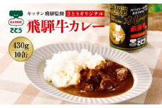 キッチン 飛騨監修 さとうオリジナル 飛騨牛カレー 10缶 飛騨牛入り ビーフカレー 飛騨高山 高山 ご当地カレー 岐阜  999-36-467 ファミリーストアさとう CY033