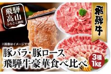 飛騨牛 ＆ 飛騨豚 焼肉 セット 合計 1kg  肉 国産 牛 豚 29-950 ファミリーストアさとう CY030