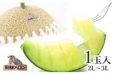 【数量限定】飛騨メロン 1玉 2L～3Lサイズ (約1.5kg)  化粧箱入 21-326 7月中旬まで受付 CY032