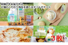 ＜牧成舎＞飛騨の美味しい乳製品を選べるチケット 3枚（チーズ＆ソーセージ・牛乳＆ヨーグルト＆チーズ・最中アイス・チーズたっぷりピザ） DF029