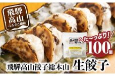 飛騨高山餃子 餃子 100個入り ＜ 生冷凍餃子 ＞ ぎょうざ ギョーザ 冷凍 冷凍餃子 簡易包装  業務用 惣菜 ニラ 豚肉 大容量 FN002