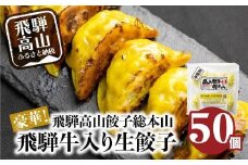 豪華！ 飛騨餃子 ファミリーパック 50個入り ＜ 生冷凍餃子 ・ 簡易包装 ＞ ぎょうざ ギョーザ 冷凍 冷凍餃子 飛騨高山 業務用 大容量 ニラ 飛騨牛 お取り寄せ 酒 つまみ FN004