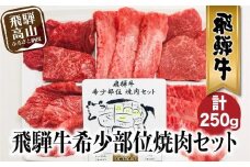 A5等級 飛騨牛 希少部位 焼肉セット 250g 5種食べ比べ ( ヒレ / ロース / もも など ) | A5 肉 焼肉 和牛 ブランド牛 牛肉 牝牛 バーベキュー キャンプ 黒毛和牛 食べ比べ 盛り合わせ 贈答 飛騨高山 天狗総本店 BP015