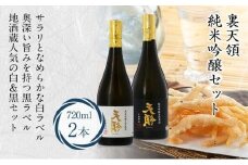 裏天領 純米吟醸セット 2本 裏天領 生貯原酒 生貯蔵酒 地酒蔵  お酒 日本酒 飛騨高山 FR034