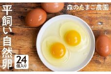 自然卵 24個 セット たまご 卵 飛騨高山 森のたまご農園 LW005