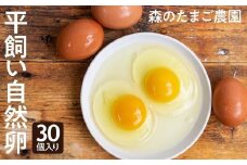 自然卵 30個 セット たまご 卵 飛騨高山 森のたまご農園 LW006