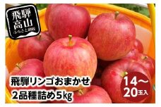 【数量限定】≪9月中旬～順次発送≫ 飛騨リンゴ 5kg（14～20玉入り）おまかせ２品種 食べ比べ | 果物 りんご リンゴ 林檎 フルーツ 旬 飛騨高山 ぜんぞう果樹園 FX004