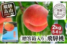 【先行受付】2025年8月発送 桃 飛騨もも 2kg 5～6玉入り | もも モモ 飛騨高山 糖度 甘い 2キロ 果物 白鳳 昭和 白桃 夏 くだもの お取り寄せ 上ギフト 贈答 おすすめ 人気 送料無料 上広瀬果樹組合 GJ001