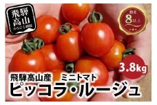 【先行予約】濃厚ミニトマト ピッコラ・ルージュ 3.8kg | 減農薬栽培 フルーツトマト ミニトマト トマト 甘い 農家直送 肉厚 糖度 高冷地  野菜 減農薬 飛騨高山 新葉ファーム FV011