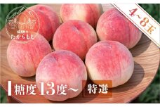 【お申込み3日以内発送】飛騨のたからもも 特選 糖度13度以上（4-8玉）※7月中旬～順次お届け | 桃 朝採れ 白桃 もも フルーツ ギフト 果物 人気 おまかせ 飛騨桃  産地直送 お取り寄せ 贈り物 ギフト おすすめ 飛騨高山 つむぎ果樹園 GH003